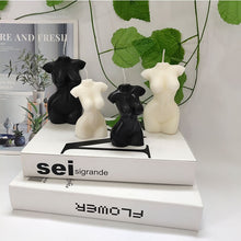 Load image into Gallery viewer, Sexy Human Body Soy Candles