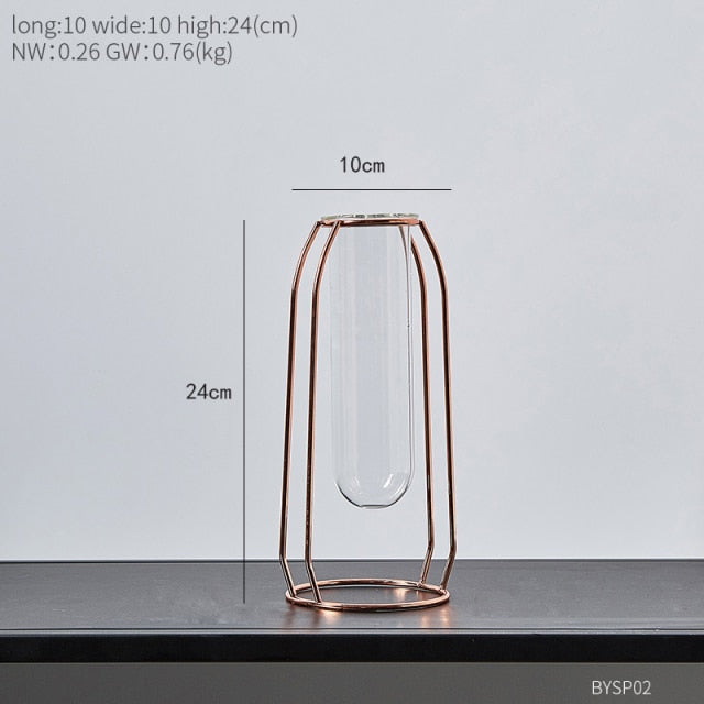 Glass Hydroponic Vase
