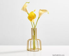 Load image into Gallery viewer, Glass Hydroponic Vase
