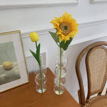 Load image into Gallery viewer, Nordic Glass Flower Vase Bubble Bottle Shaped