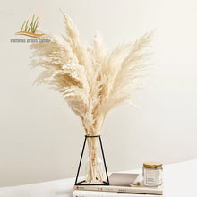 Load image into Gallery viewer, Pampas Grass Decor White Color Fluffy Natural Dried Flowers
