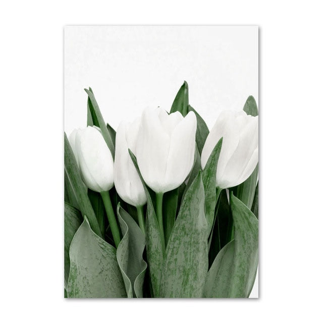 White Tulip Green Orchid Aloe Wall Art