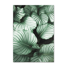 Load image into Gallery viewer, White Tulip Green Orchid Aloe Wall Art
