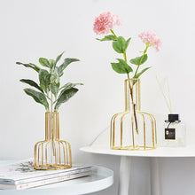 Load image into Gallery viewer, Glass Hydroponic Vase
