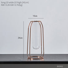 Load image into Gallery viewer, Glass Hydroponic Vase
