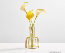 Load image into Gallery viewer, Glass Hydroponic Vase
