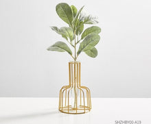 Load image into Gallery viewer, Glass Hydroponic Vase

