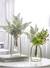 Load image into Gallery viewer, Glass Hydroponic Vase
