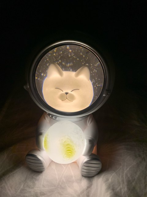 Creative Super Cute Galaxy Pet Astronaut Light